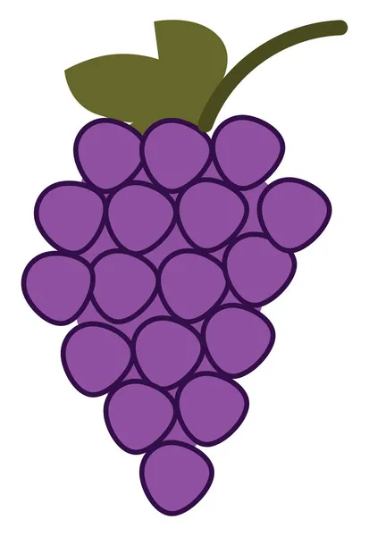 紫色葡萄 白色背景 — 图库矢量图片