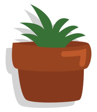 Beyaz arka planda ev bitkisi, illüstrasyon, vektör.