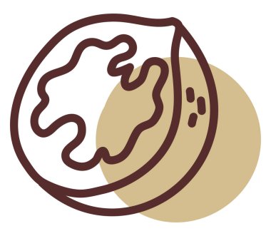 Ceviz ortadan ikiye, illüstrasyon, vektör, beyaz arkaplanda..