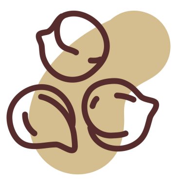 Beyaz arka planda üç fındık, illüstrasyon, vektör..