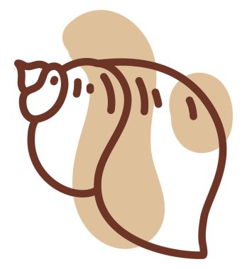 Beyaz arka planda akvaryum kabuğu, illüstrasyon, vektör.