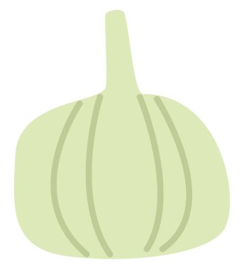 Beyaz arka planda yeşil sarımsak, illüstrasyon, vektör..