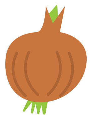 Beyaz arkaplanda bir soğan, illüstrasyon, vektör..