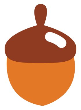 Sonbahar meşe palamudu, illüstrasyon, vektör, beyaz arkaplanda.