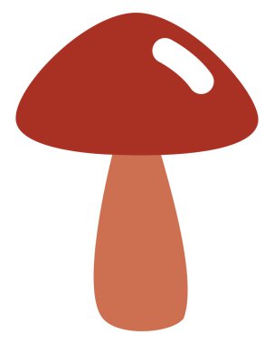 Kırmızı sonbahar mantarı, illüstrasyon, vektör, beyaz arka planda.