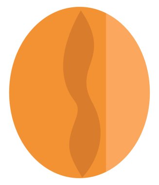 Kahve çekirdeği, illüstrasyon, vektör, beyaz arka planda..