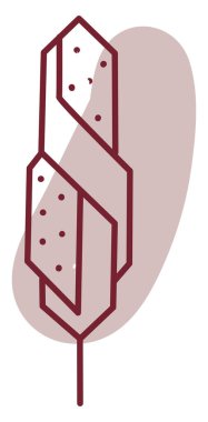 Beyaz arka planda ilginç bir soyut tüy, illüstrasyon, vektör..