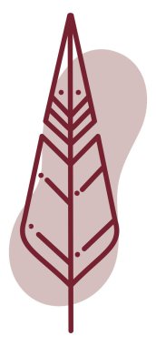 Beyaz arkaplanda kırmızı tüy, illüstrasyon, vektör.