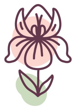 Romantik çiçekler, illüstrasyon, vektör, beyaz arka planda.