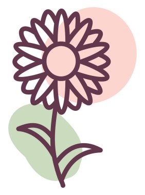 Güzel çiçek, illüstrasyon, vektör, beyaz arkaplanda.