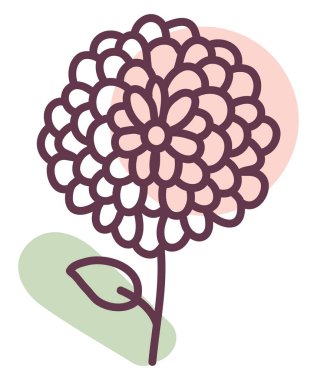 Yaz çiçeği, illüstrasyon, vektör, beyaz arka planda.