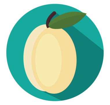 Beyaz kayısı, illüstrasyon, vektör, beyaz arkaplanda.