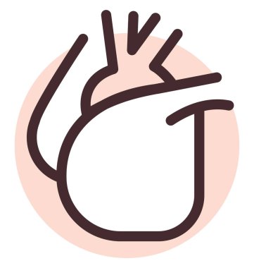 Beyaz arka planda insan kalbi, illüstrasyon, vektör..