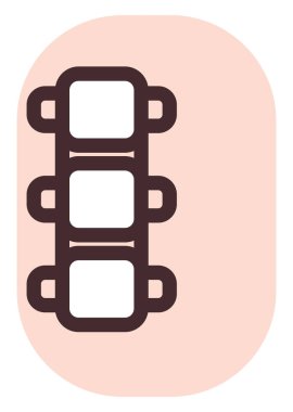 Beyaz arka planda insan omurgası, illüstrasyon, vektör..