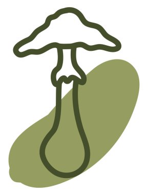 Kurutulmuş mantar, illüstrasyon, vektör, beyaz arka planda..