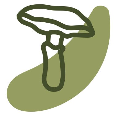 Sonbahar mantarı, illüstrasyon, vektör, beyaz arka planda.