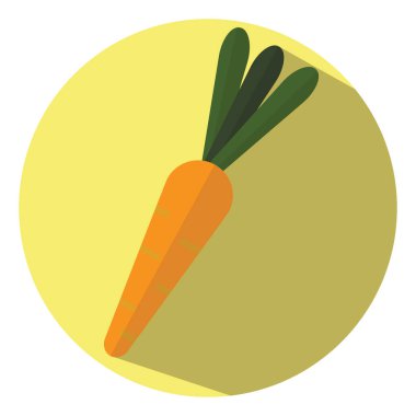 Beyaz arka planda taze havuç, illüstrasyon, vektör..