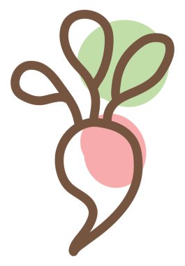 Beyaz arkaplanda kırmızı pancar kökü, illüstrasyon, vektör.