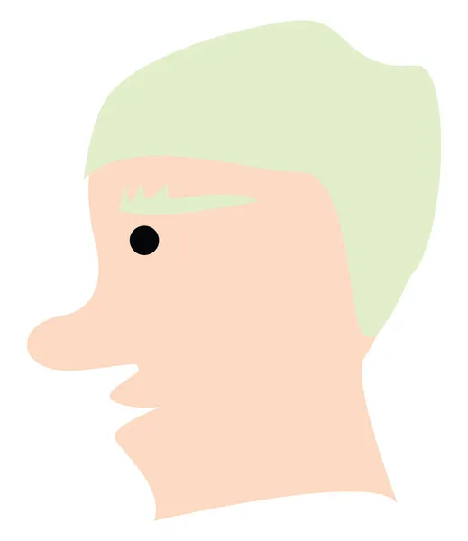 Mann Mit Grünem Haar Und Großer Nase Illustration Vektor Auf — Stockvektor