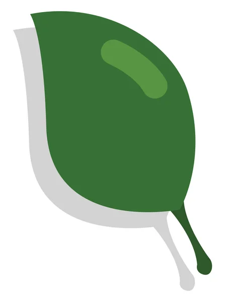 One Green Leaf Illustration Vector White Background — Stock Vector