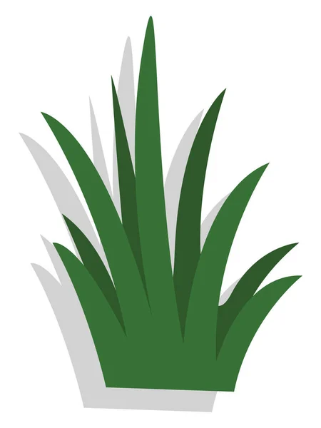 Зеленая Трава Иллюстрация Вектор Белом Фоне — стоковый вектор
