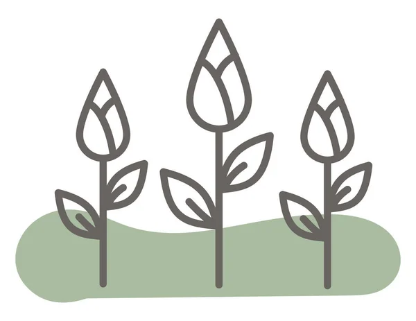 Nutzpflanzen Illustration Vektor Auf Weißem Hintergrund — Stockvektor