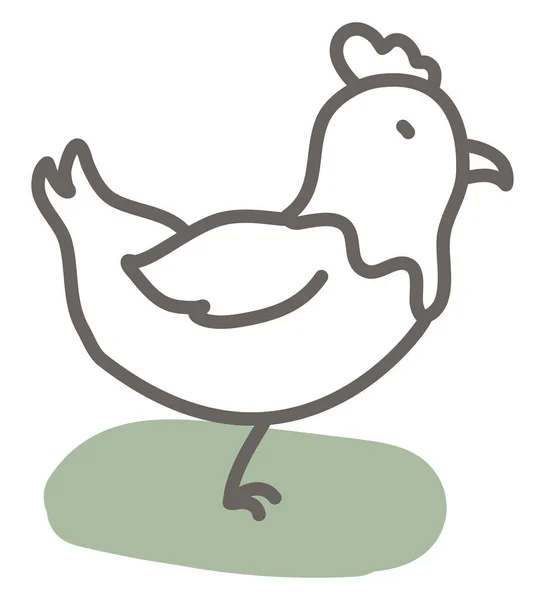 Farm Chicken Illustration Vector White Background — Stock Vector