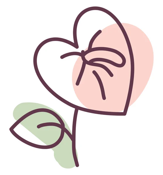 Pink Kalla Flower Illustration Vector White Background — Stock Vector