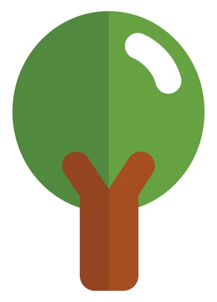 Árvore Primavera Verde Ilustração Vetor Sobre Fundo Branco — Vetor de Stock