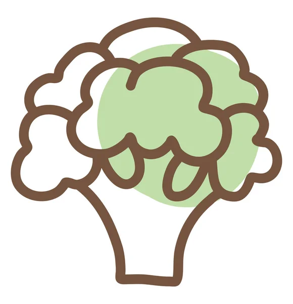Groene Broccoli Illustratie Vector Een Witte Achtergrond — Stockvector