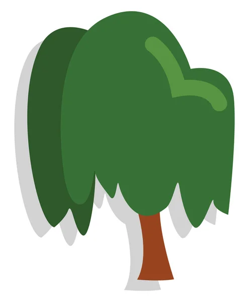 Sad Willow Tree Illustration Vector White Background Stock Illustration