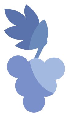 Şarap üzümü, illüstrasyon, vektör, beyaz arka planda..