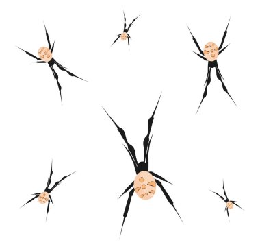 Kahverengi örümcek, illüstrasyon, beyaz arkaplanda vektör.