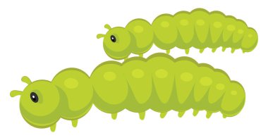 Yeşil tırtıl, illüstrasyon, beyaz arka planda vektör..