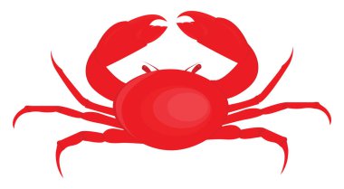 Kırmızı yengeç, illüstrasyon, beyaz arkaplanda vektör.