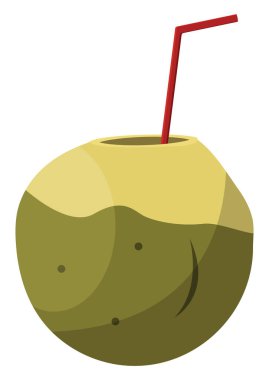 İçmek için hindistan cevizi suyu, illüstrasyon, beyaz arkaplan üzerinde vektör.