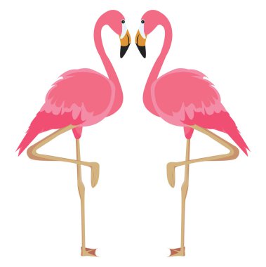 Flamingo kuşu, illüstrasyon, beyaz arkaplandaki vektör.