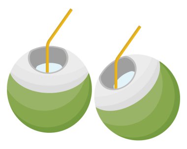 Yeşil hindistan cevizi, illüstrasyon, beyaz arkaplanda vektör.