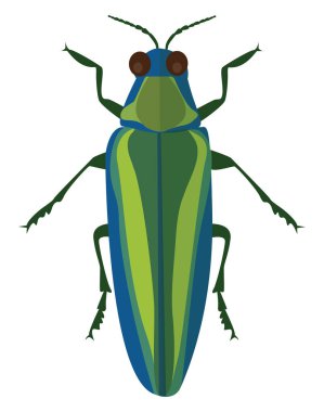 Mücevher böceği, illüstrasyon, beyaz arkaplanda vektör.