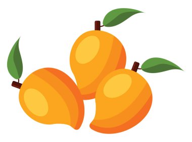 Mango meyvesi, illüstrasyon, beyaz arkaplandaki vektör.
