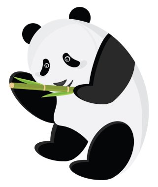 Tatlı panda yemek, illüstrasyon, beyaz arka planda vektör..