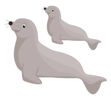Seal hayvan, illüstrasyon, beyaz arkaplan üzerinde vektör.