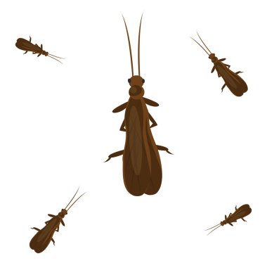 Taş sineği, illüstrasyon, beyaz arkaplandaki vektör.