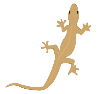 Beyaz arkaplanda duvar kertenkelesi, illüstrasyon, vektör.