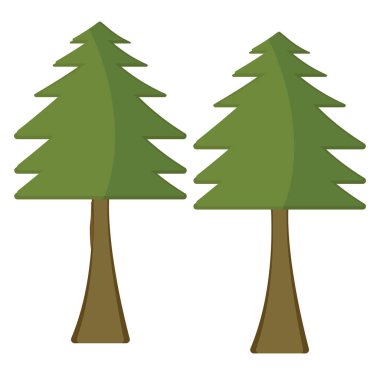 Çam ağacı, illüstrasyon, beyaz arkaplan üzerindeki vektör.