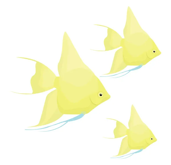 Angel Fish Illustration Vector White Background — Stock Vector