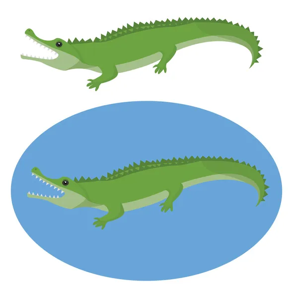 鳄鱼动物 白色背景上的病媒 — 图库矢量图片