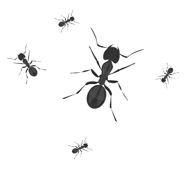 Pequenas Formigas Ilustração Vetor Sobre Fundo Branco — Vetor de Stock
