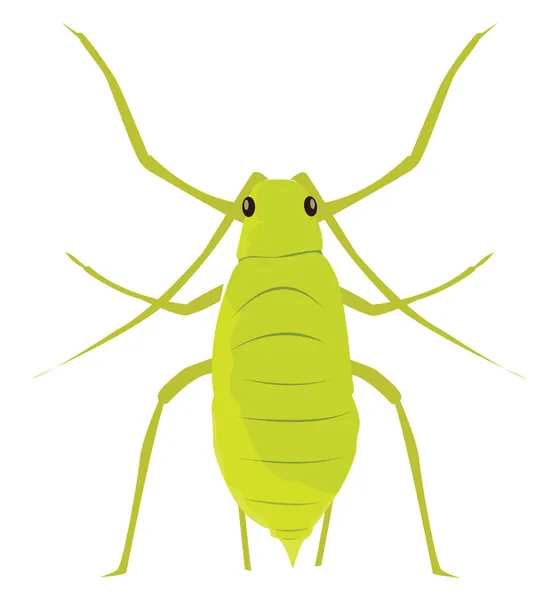Aphid Bug Ilustración Vector Sobre Fondo Blanco — Archivo Imágenes Vectoriales