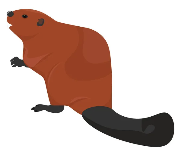 Beaver Zvíře Ilustrace Vektor Bílém Pozadí — Stockový vektor